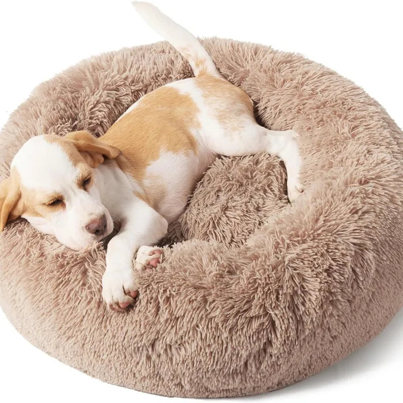 Donut Shaped Cat Nest 50 cm Diameter Large  Plush Washable Kitten Bed Indoor Pet Mat.