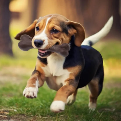 Indestructible Natural Non-Toxic Dog Bone Chew Toy