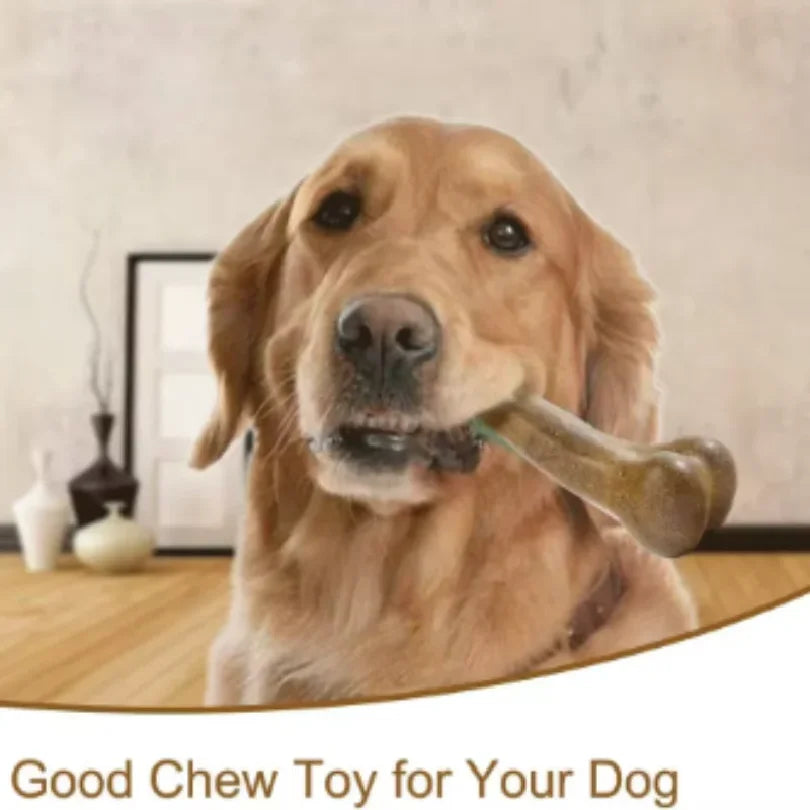 Indestructible Natural Non-Toxic Dog Bone Chew Toy