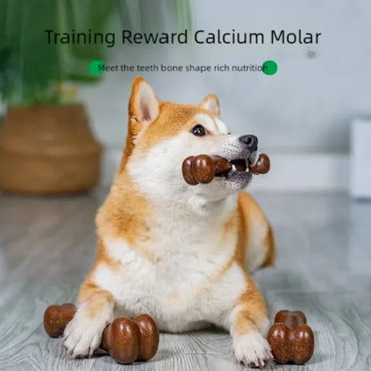 Indestructible Natural Non-Toxic Dog Bone Chew Toy