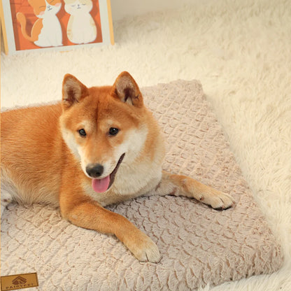3D Foam Pet Bed With Removable Washable Faux Fur Cover Orthopedic Waterproof.